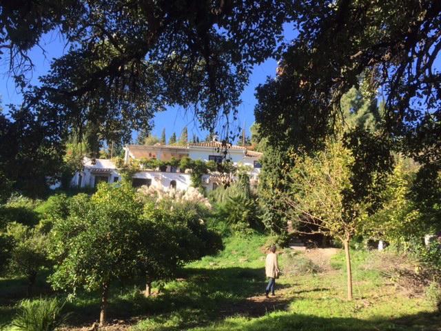 Finca La Tierra Mijas - Adults Only Bed and Breakfast Buitenkant foto