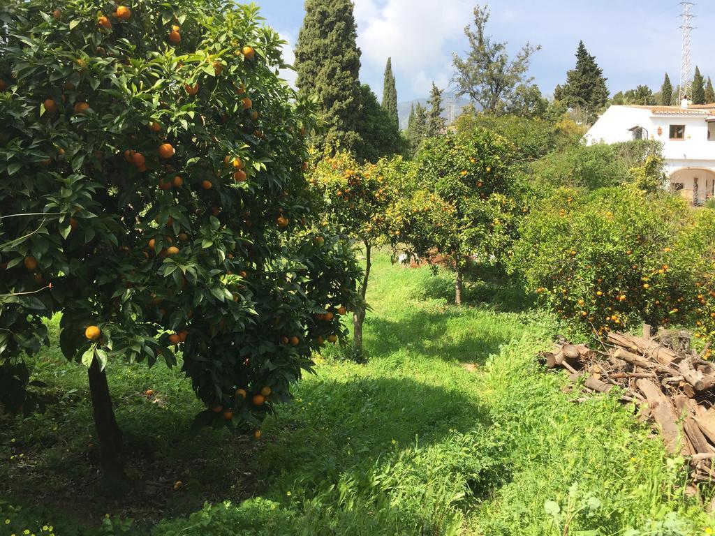 Finca La Tierra Mijas - Adults Only Bed and Breakfast Buitenkant foto