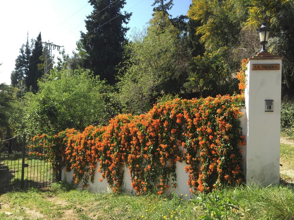 Finca La Tierra Mijas - Adults Only Bed and Breakfast Buitenkant foto